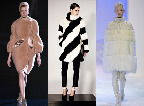 ���� �����-���� 2013/2014