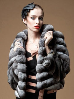 ���� �� ��������: �������� ������ � ����